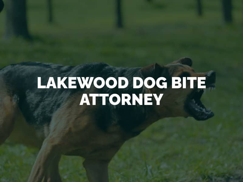 Lakewood Dog Bite Lawyer