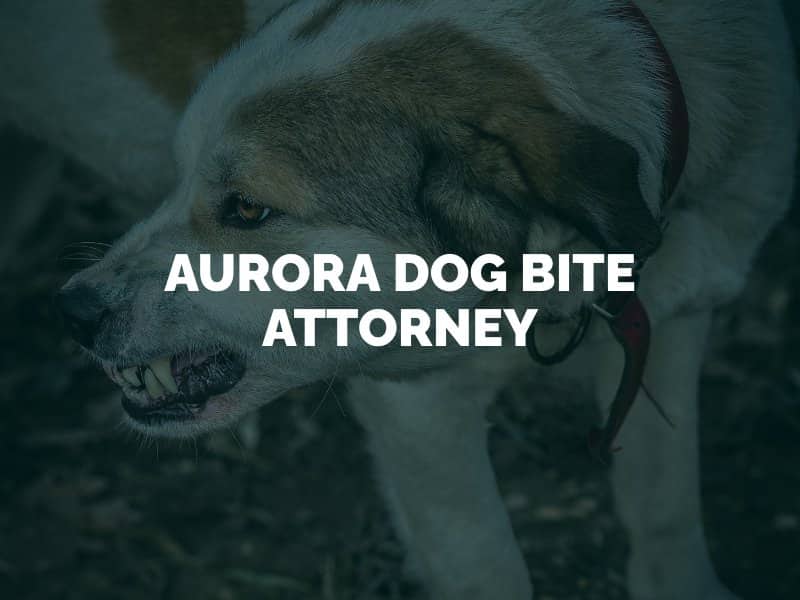 Aurora Dog Bite Lawyer
